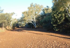 Upper Murchison River