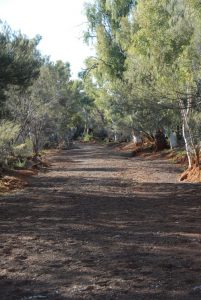 Upper Murchison River