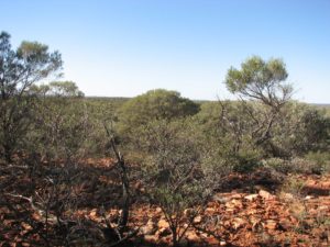 View from where were built the cairn.