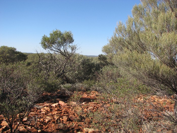 View from where were built the cairn.
