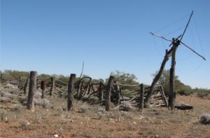 Used for hoisting sheep or cattle for butchering