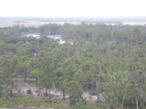 From lookout.