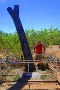 At the Stuart Tree.
