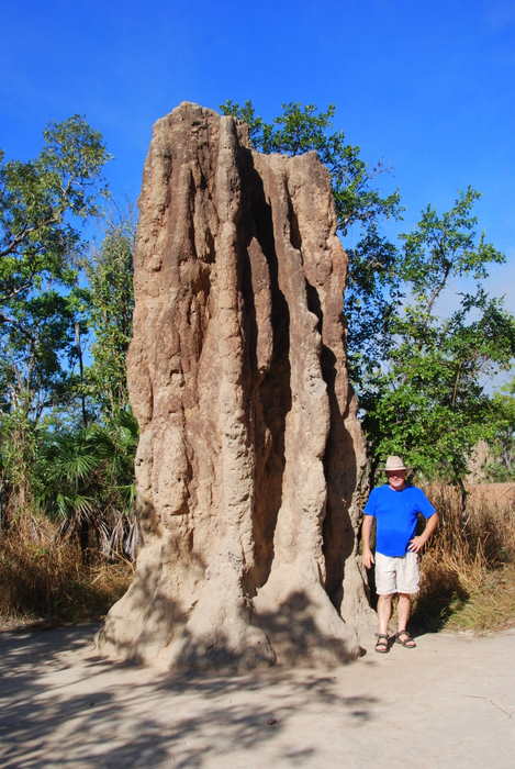 Kim at termite mound.