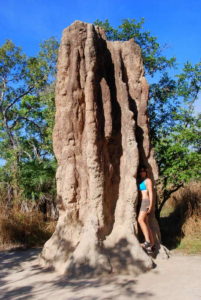 Tammy and termite mound.