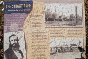 The Stuart Tree.