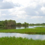 Yellow Water billabong