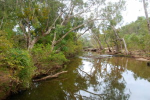 Crocs live here.