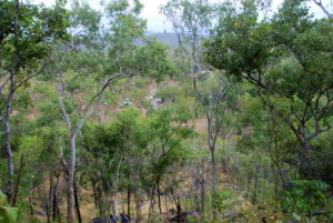 Looking down at Gunlom campground.