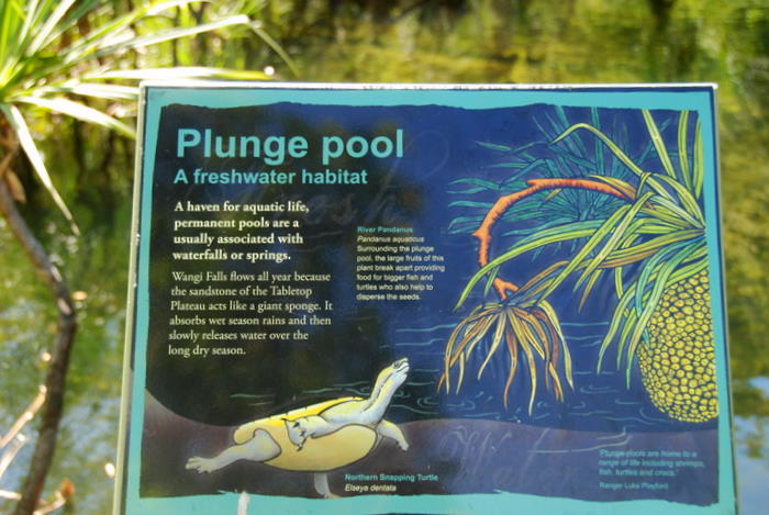 Information about the Wangi plunge pool.