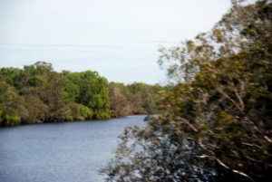 South Alligator River