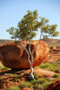 Devils Marbles