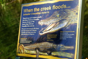 When the creeks flood at Wangi.