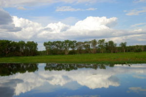 Yellow Water lagoon