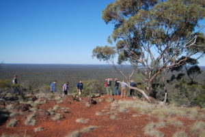 At the top of Bungalbin.