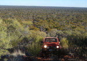 Cliff on the way to Jimbine.