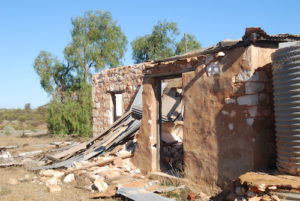 Ruins of Mount Jackson Homestead.