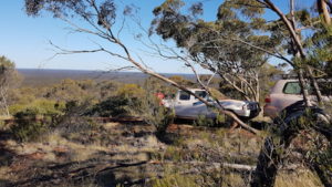 At the top of Bungalbin, looking south.