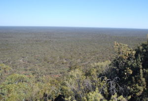 View from Bungalbin.