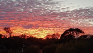 Sunset just outside Paynes Find.