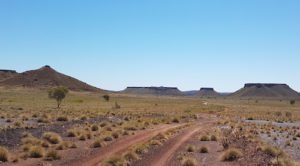 Upper Carawine Gorge track.