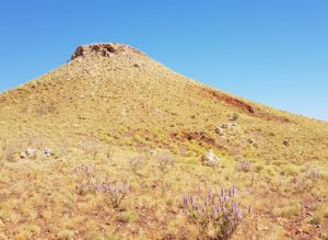 Along the Upper Carawine Gorge track.