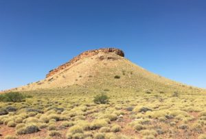 Along the Upper Carawine Gorge track.