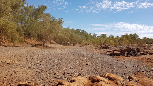 The Ashburton River near the homestead.