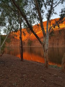 Carrawine Gorge in the morning.
