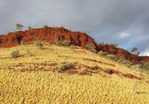 Marble Bar to Auski.