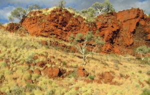 Marble Bar to Auski.