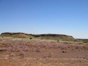 Near Roy Hill.
