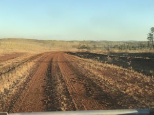 Track to Skull Springs.