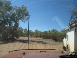 Exiting the river.