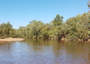 Looking upriver at the Oakover River crossing.