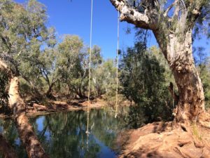 What’s a waterhole without a swing?