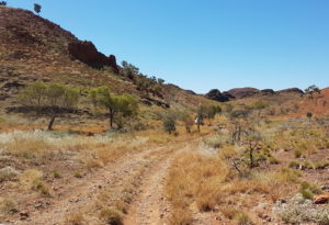 The track wound through an interesting valley through what could be considered as the southern extension of the Ripon Hills.