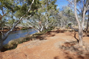 Walk track on river's edge.