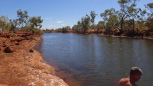 Cattle Pool