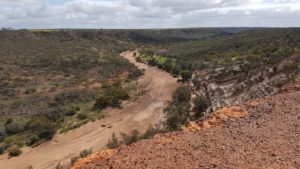 Fosssils can be seen in the river bank strata.