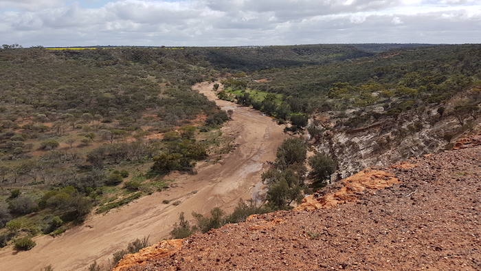 Fosssils can be seen in the river bank strata.