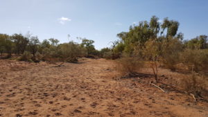 Looking up the Gascoyne River.