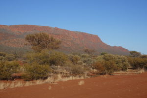Travelling to the start of the climb up Mount Augustus.