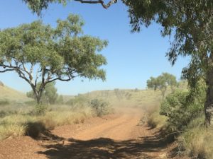 Near the Shaw River.