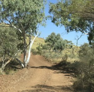 Hillside Road in the vicinity of the Shaw River.