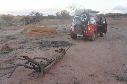 Scott towing wood.