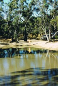 Kim at Totadgin Dam - December 1995.