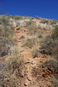 Path to the top.