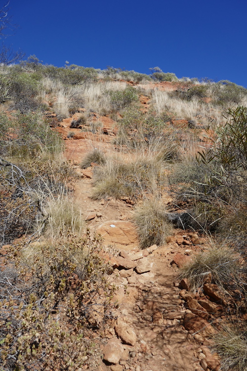 Path to the top.