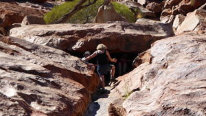 The petroglyphs are under here.